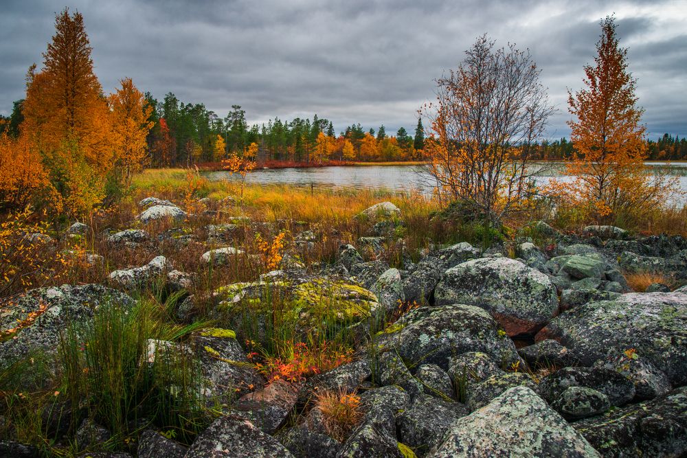 Фотография автора Katrin Lillenthal