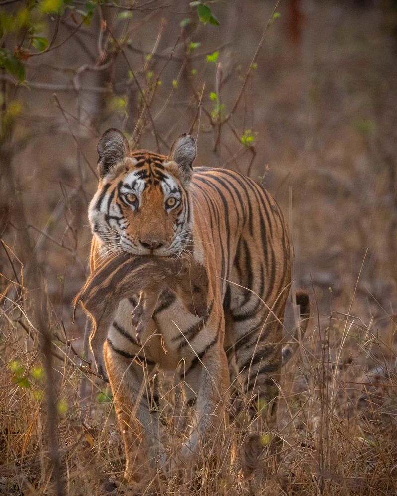 Photograph by Rajeshwari Shukla