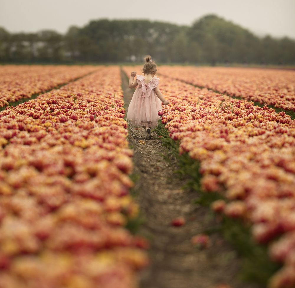 Фотография автора Noemi Sarmiento