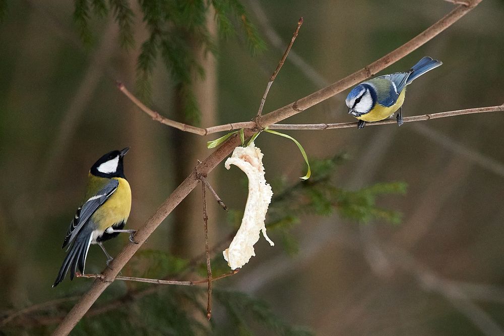 Photograph by Alexey Bogdanov