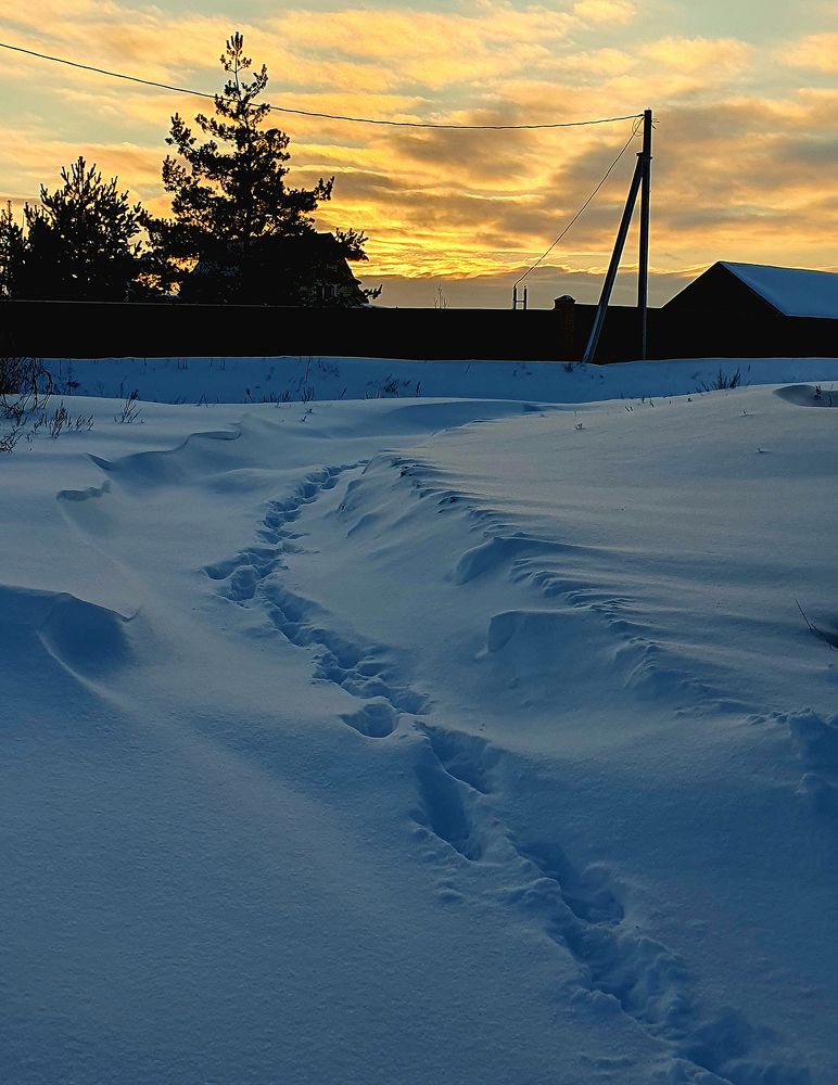 Photograph by Елена Бежина