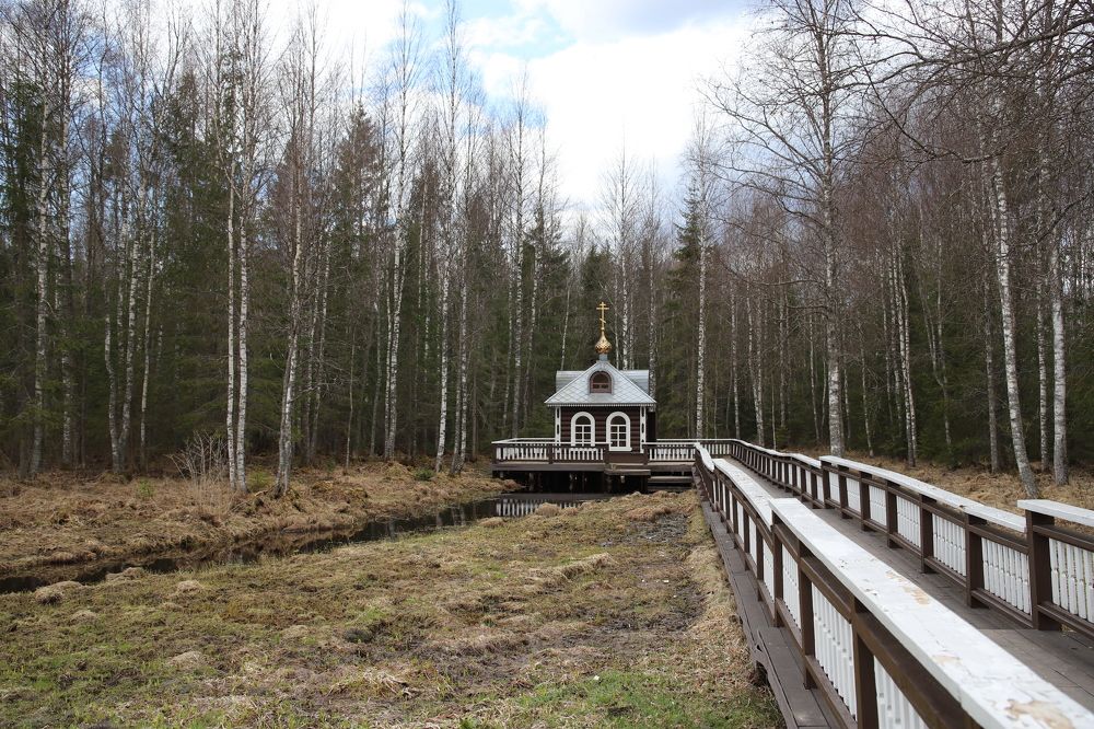 Photograph by Юлия Баринова