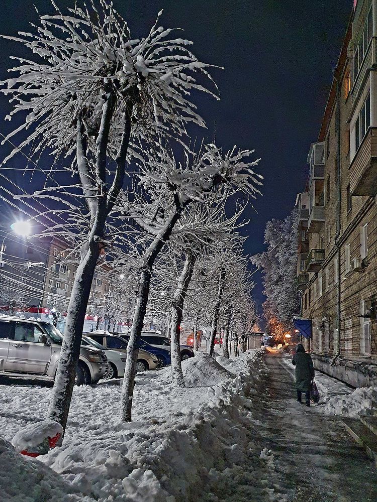 Снежным вечером