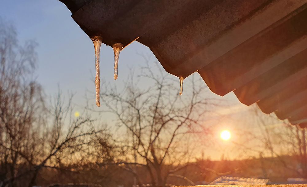 Photograph by Елена Бежина