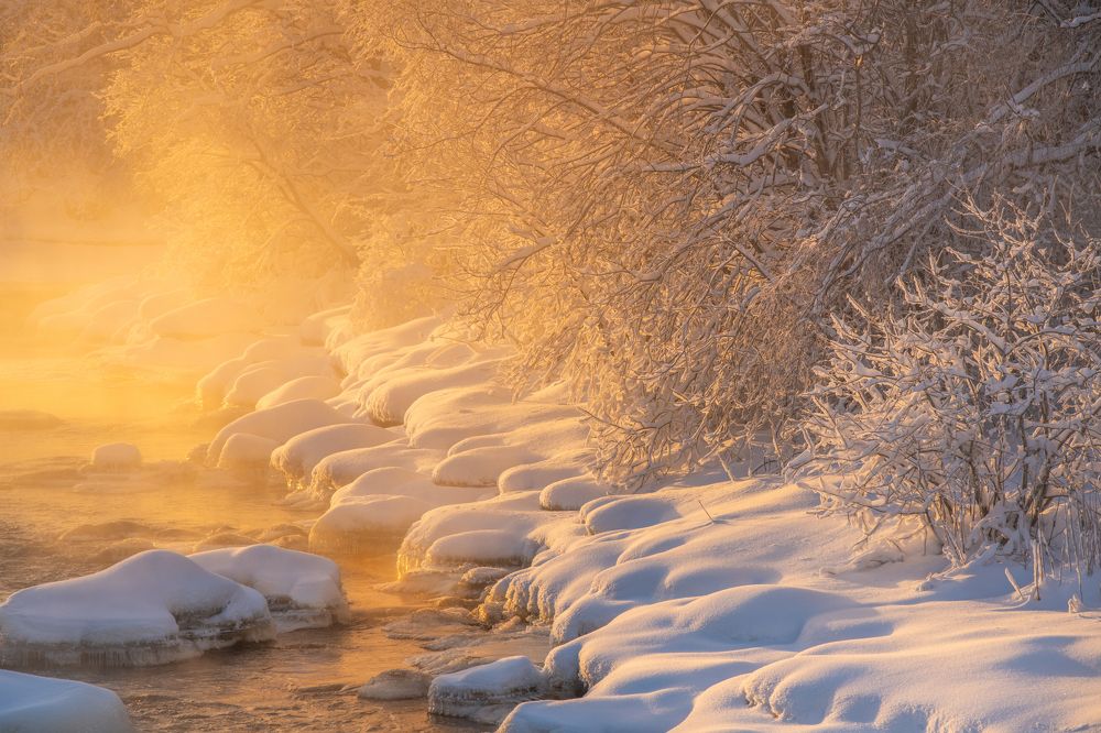 Фотография автора Katrin Lillenthal