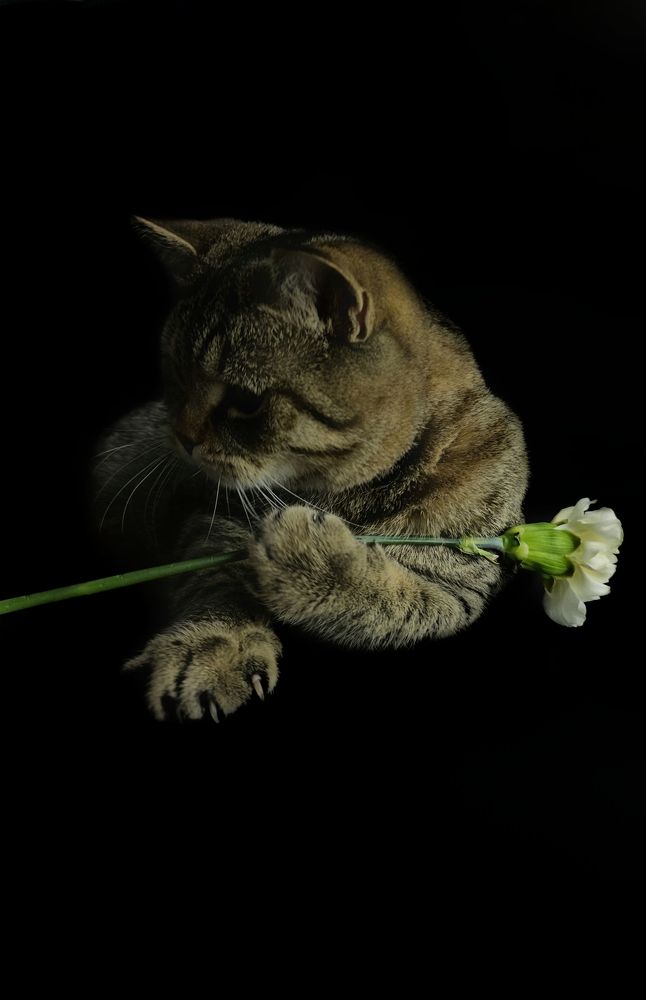 Photograph by Юлия