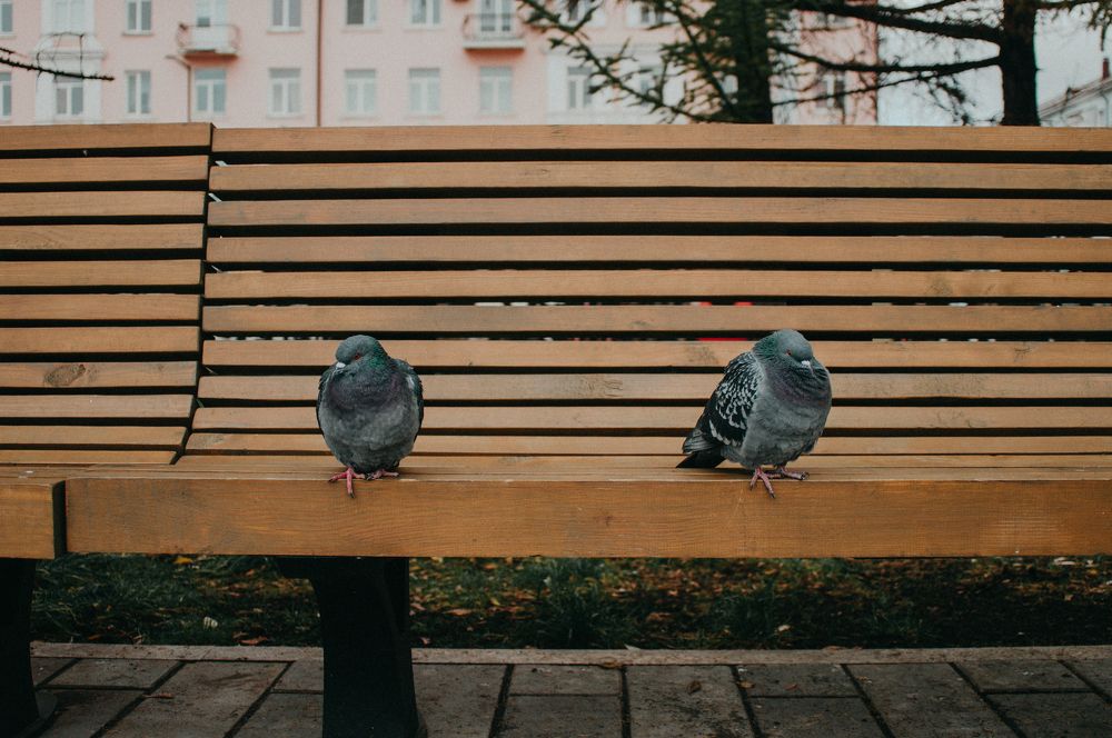 Фотография автора Мария Михайлова