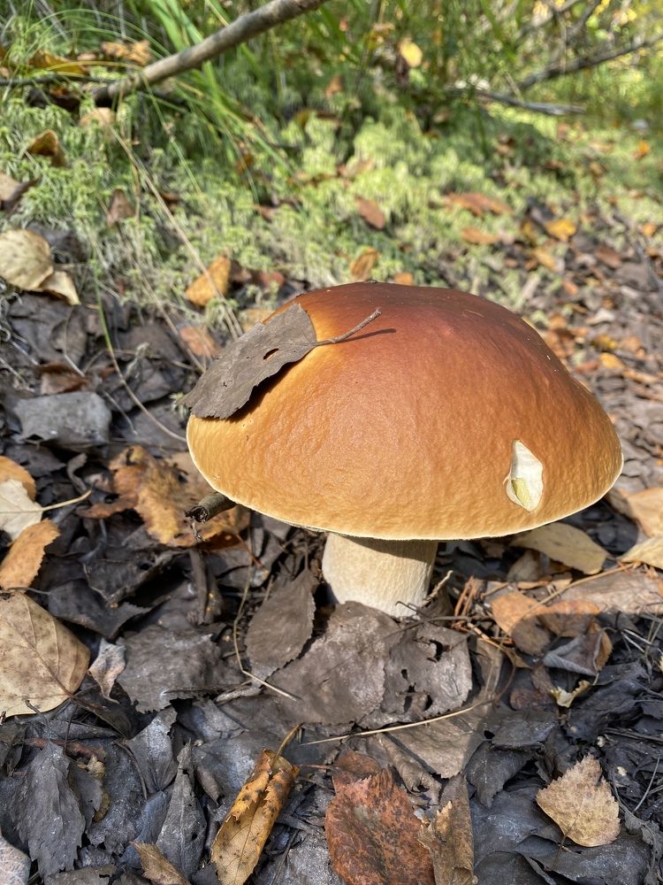 Photograph by Евгений Лосев