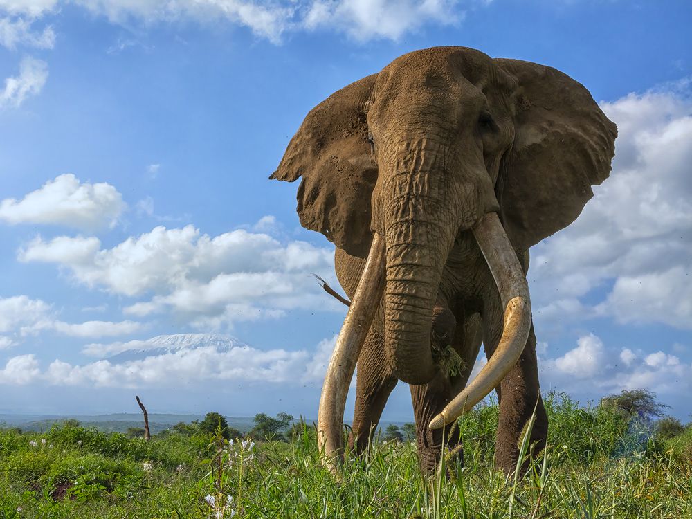 Photograph by Karthick Sridharan