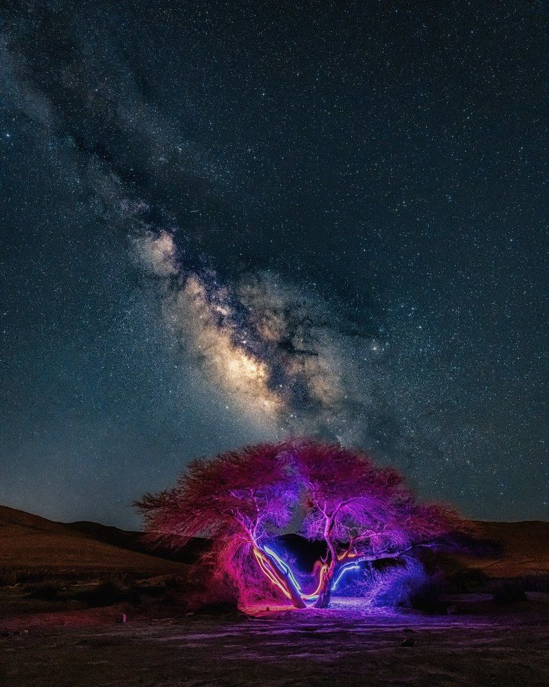 Photograph by Marius Vigder