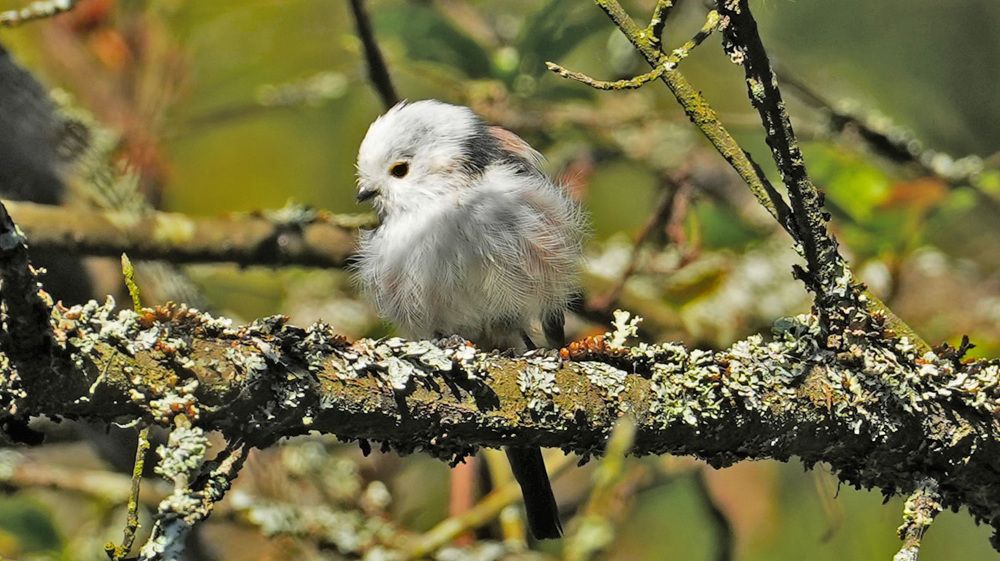 Photograph by Михаил Трусов