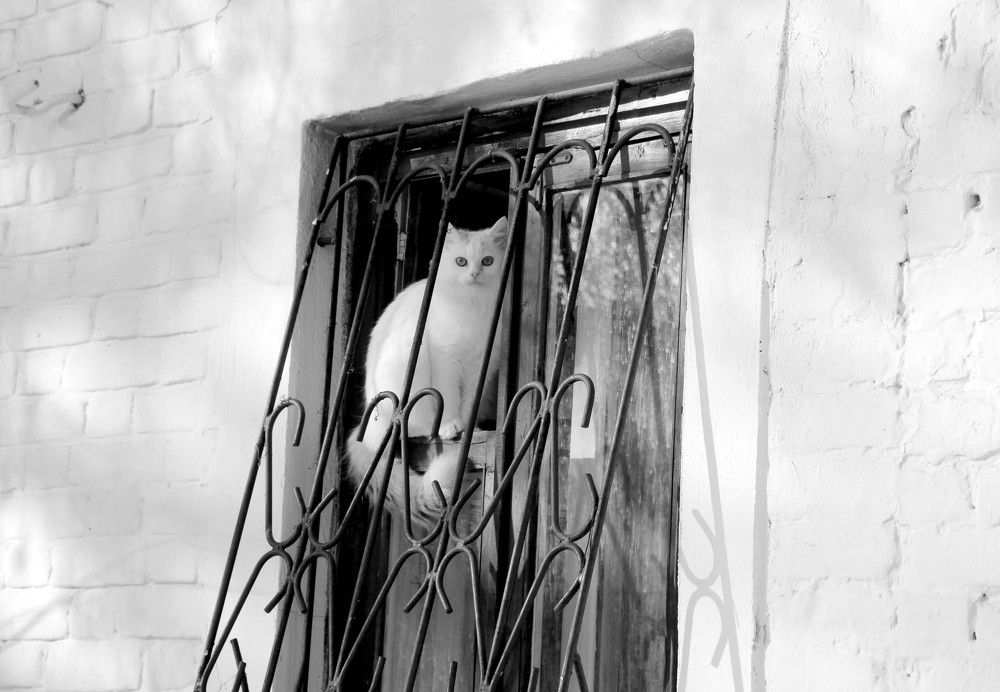 Photograph by Жанна Валиева