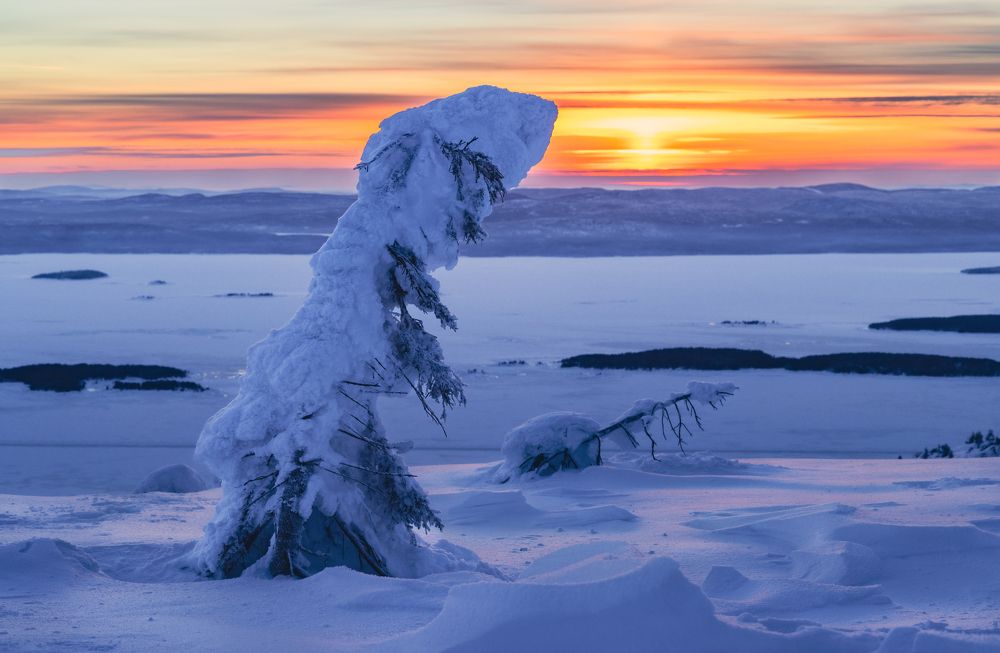 Photograph by Diana Karp