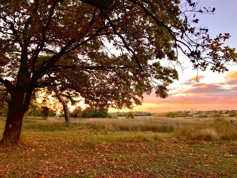 Фотография автора Вилена Дмитрюк