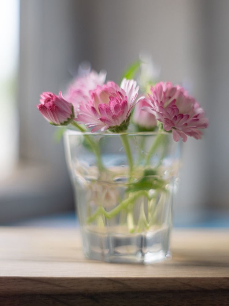 Photograph by Ольга Воронова