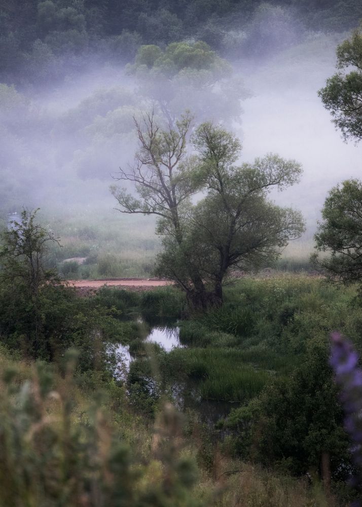 Photograph by Иван Мосьянов