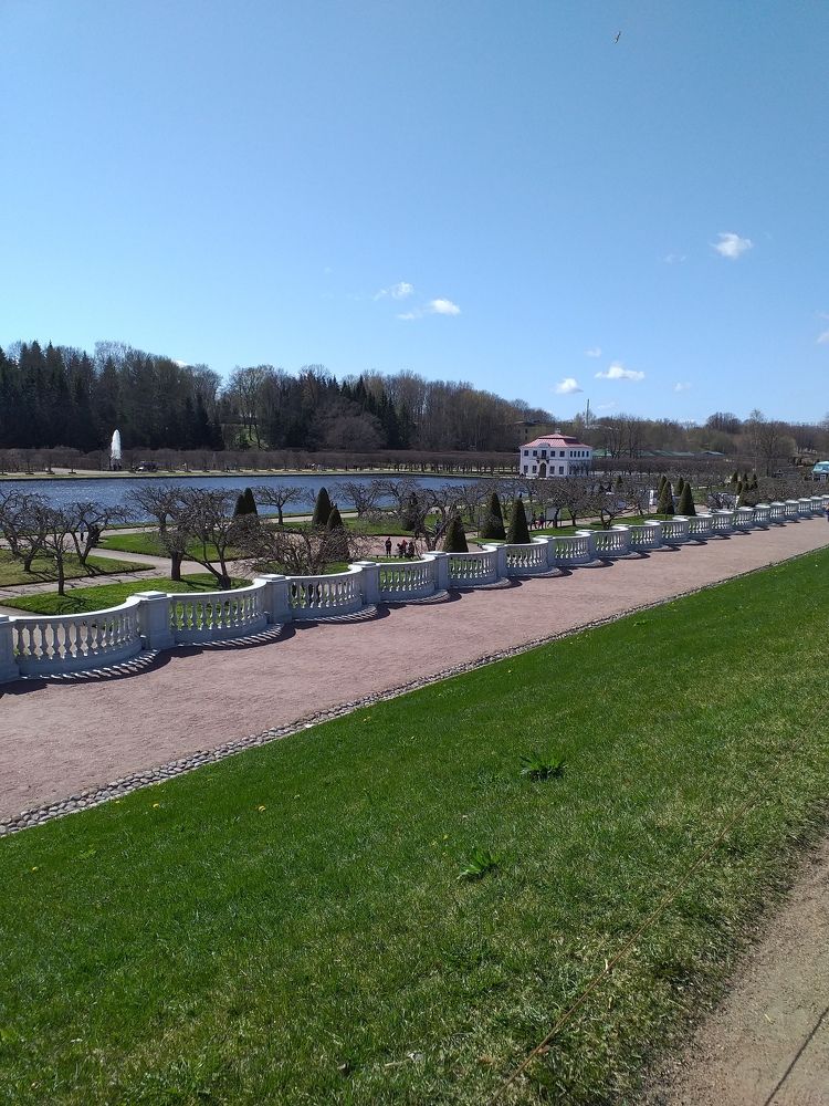 Photo #10439916