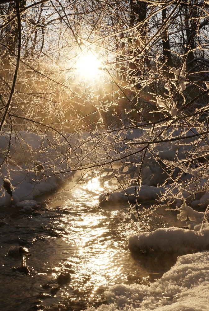 Photograph by Наталья Горбунова
