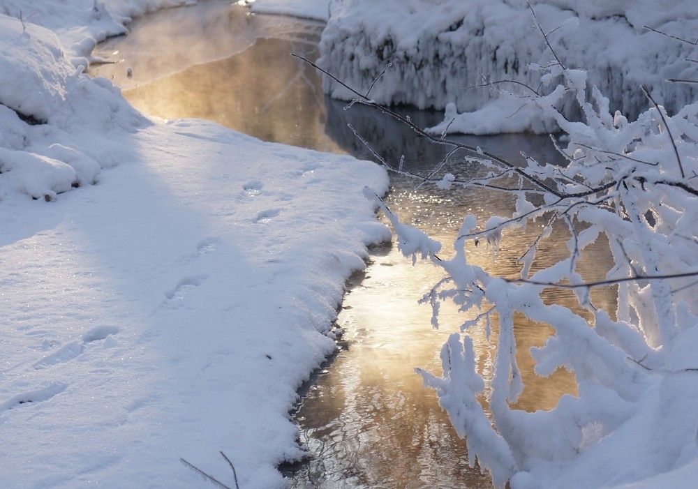 Photograph by Наталья Горбунова