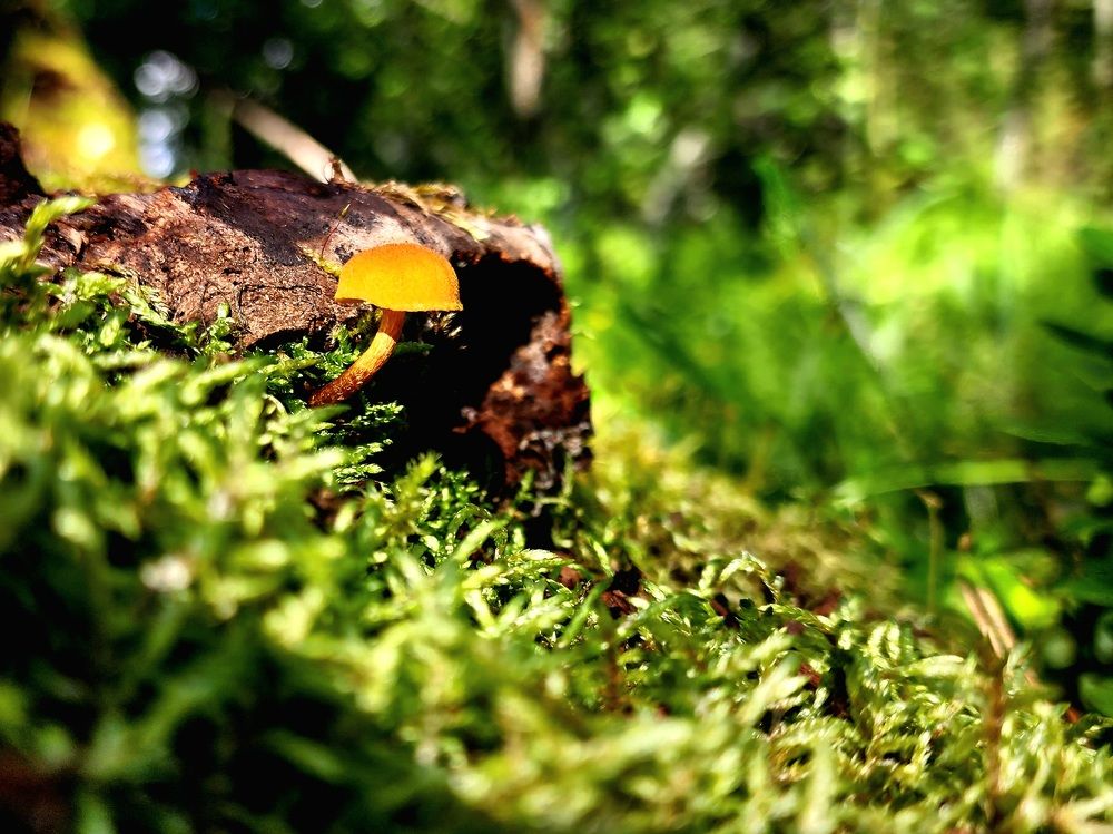 Photograph by Анна