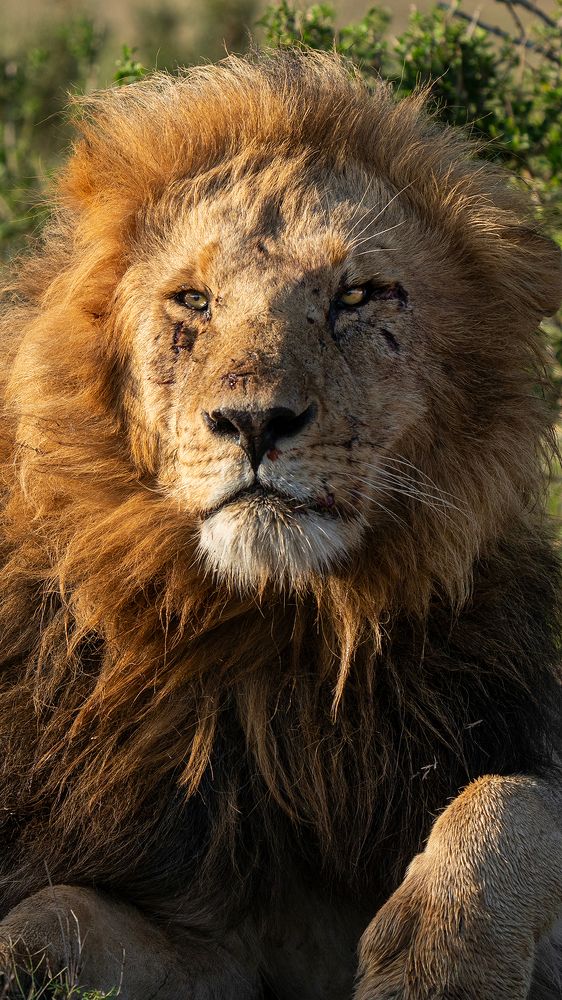 Photograph by Arvind Raj