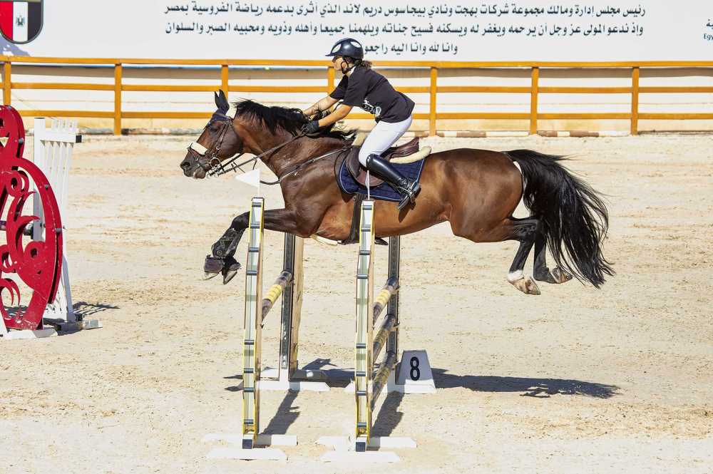 Photograph by Wael Kamal eldin