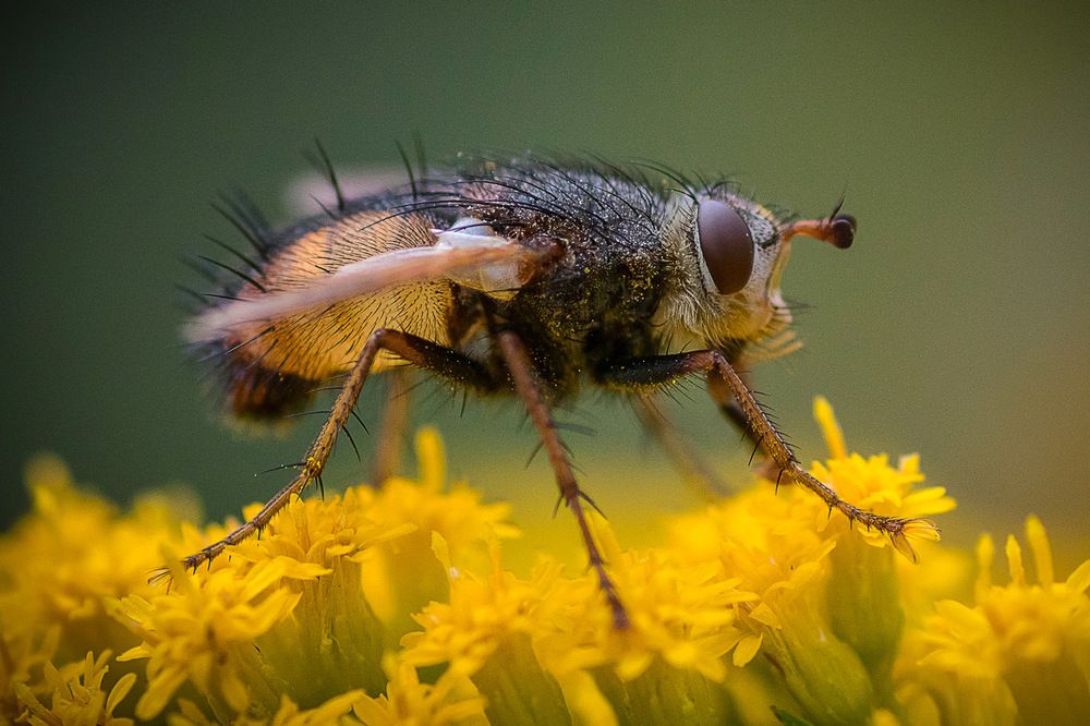 Photograph by Александр Войтко