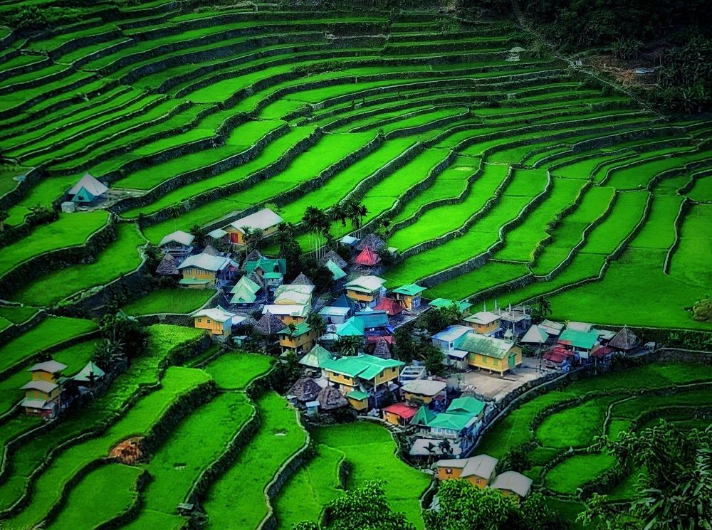 Photograph by Matinik