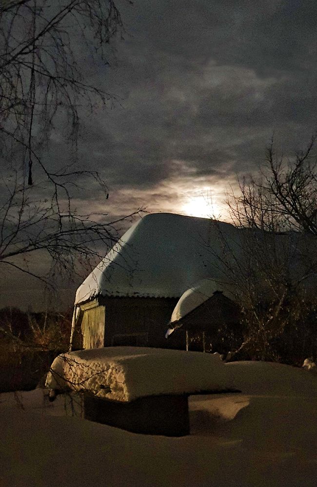 Photograph by Елена Бежина