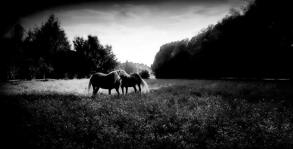 Photograph by Arkadij Frejdlin