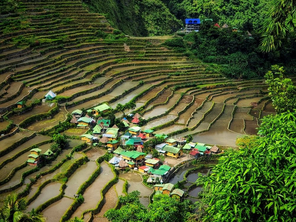 Batad Rice Terraces after Harvest.