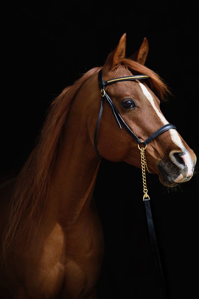 Photograph by Светлана Трушева