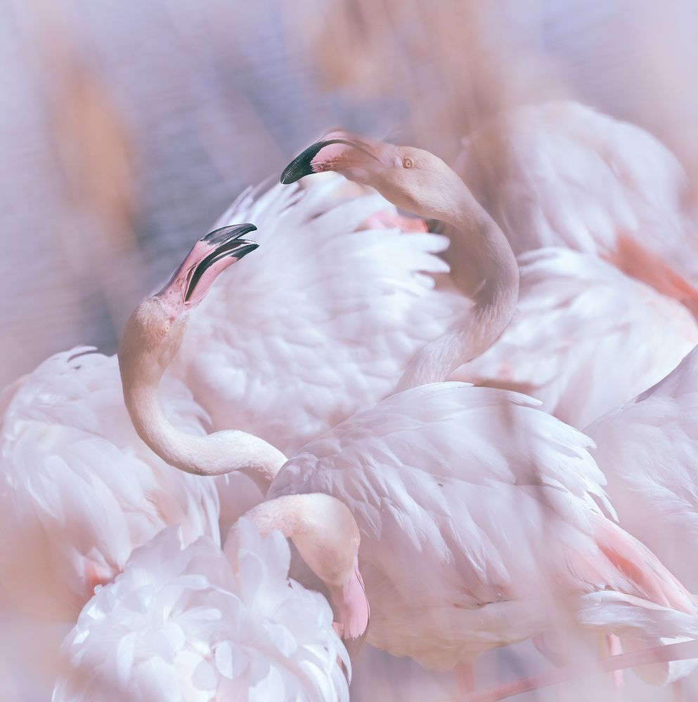 Photograph by GUILLARD Hélène