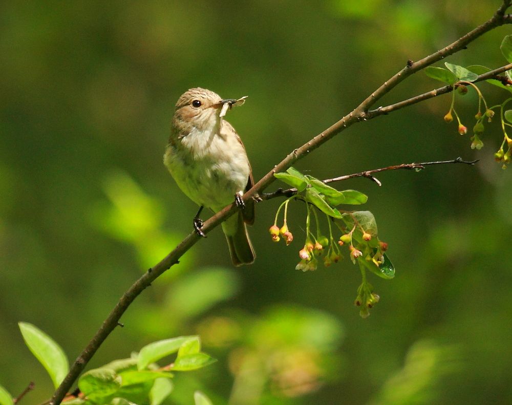 Photograph by Владилен Панченко