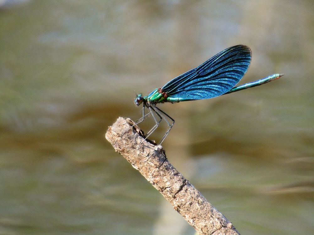 Photograph by Владимир Перминов