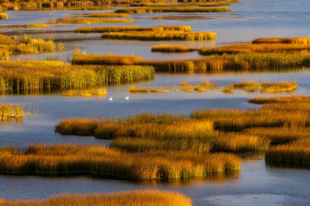 Photograph by Leonid Maksimenko