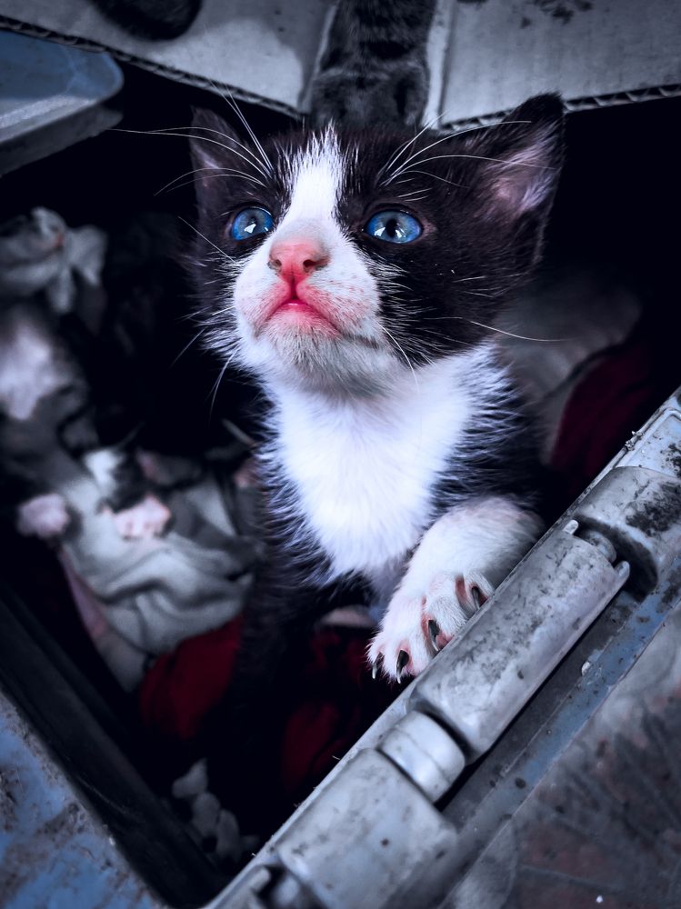 Photograph by عمر خالد الصياد