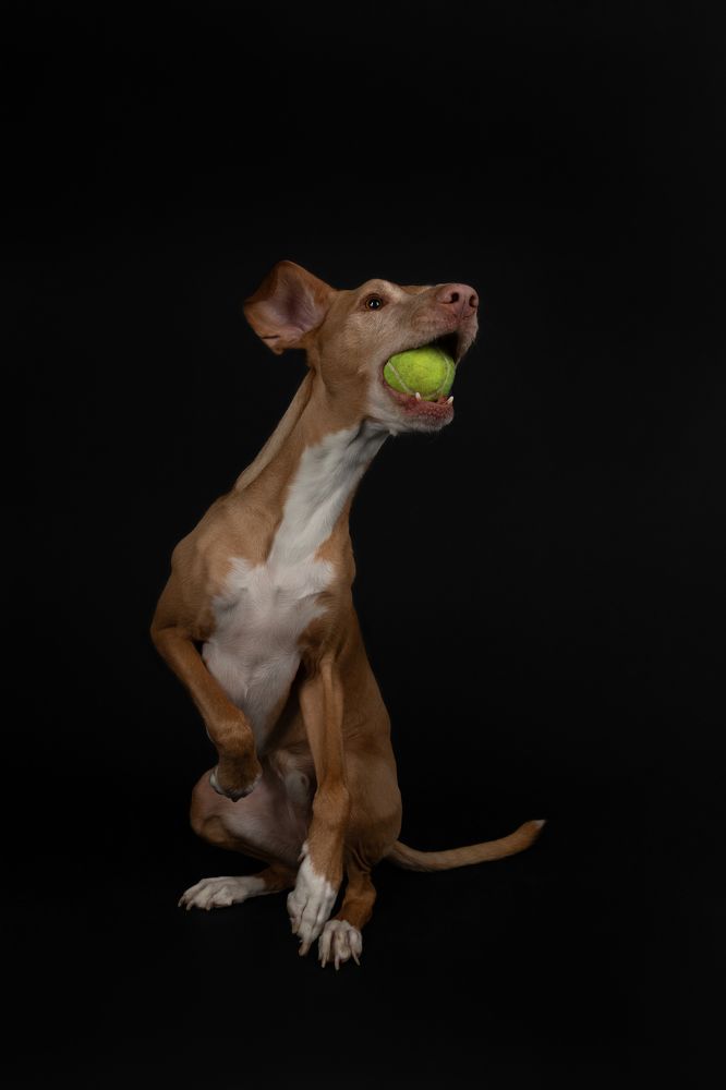 Фотография автора Alicia Mate