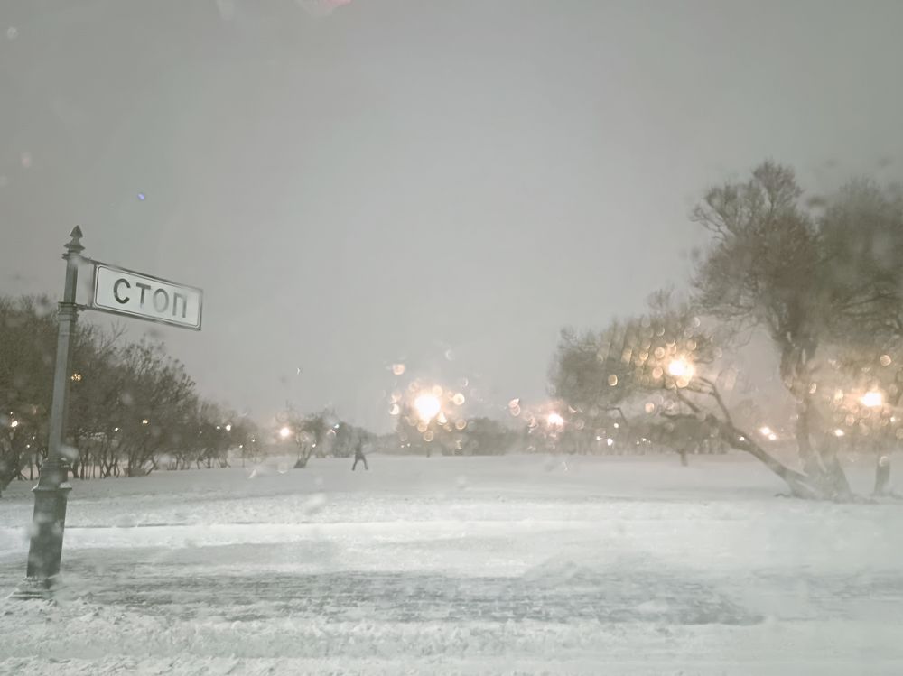 Photograph by Евгения Стриженова