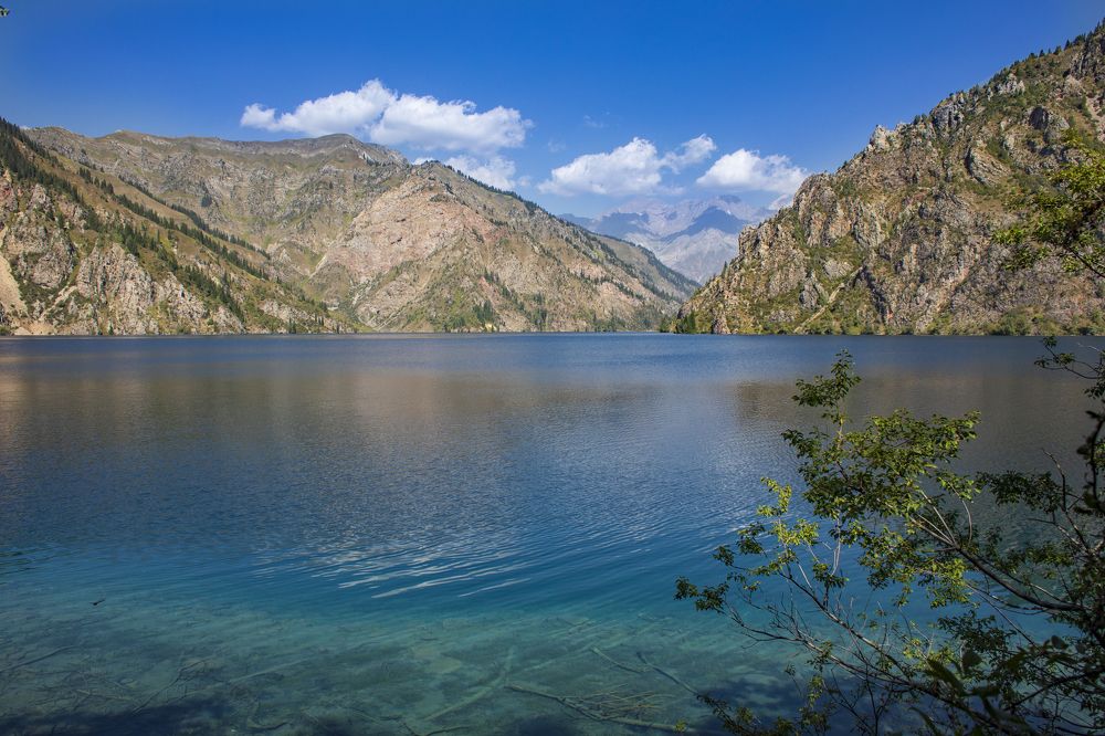 Фотография автора Татьяна Меньшикова