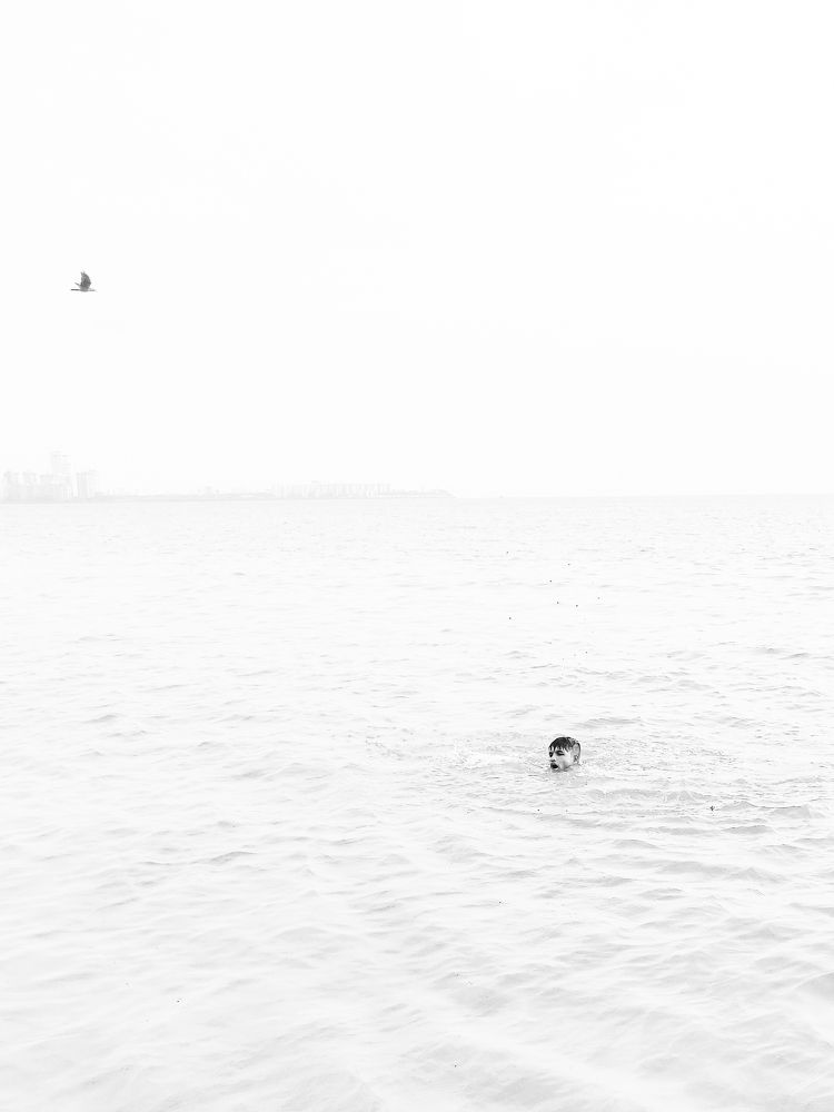 Photograph by Krunal Todkar