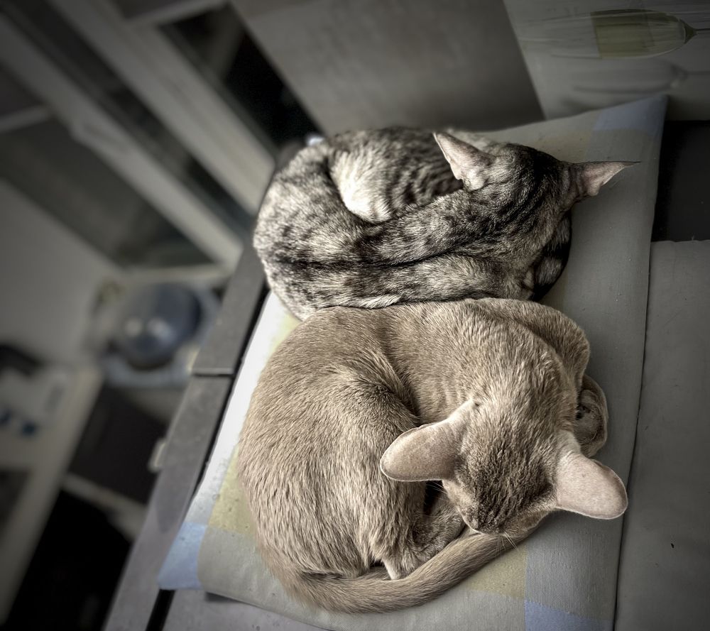 Photograph by Александр Мжельский