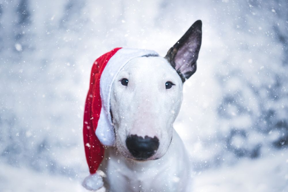 Photograph by Monika Kučerová