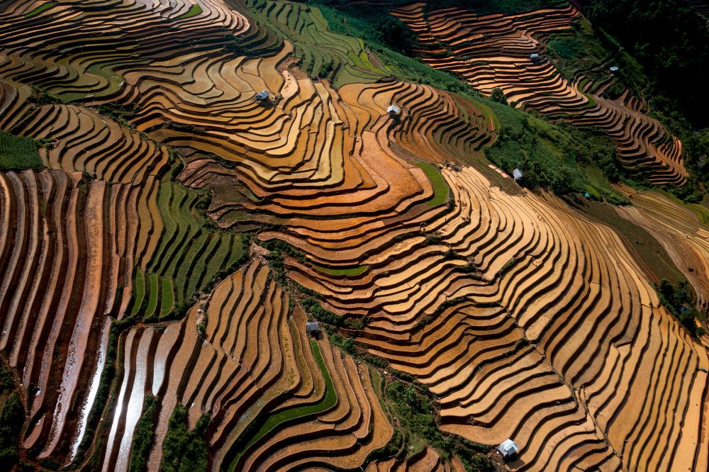 Photograph by Hanh P. T. Pham