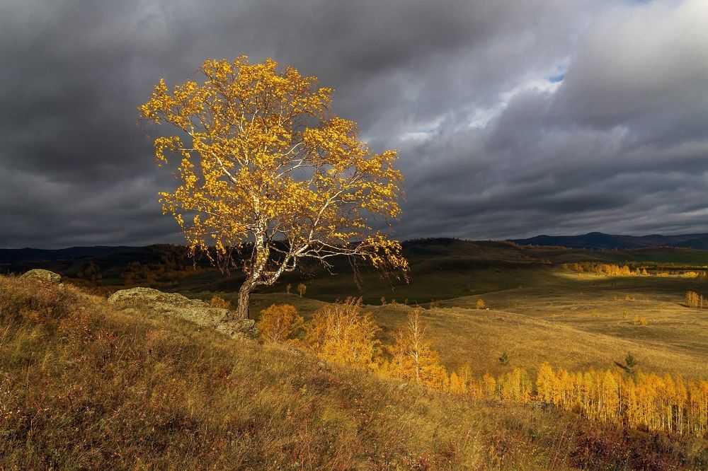 Photograph by Leonid Maksimenko