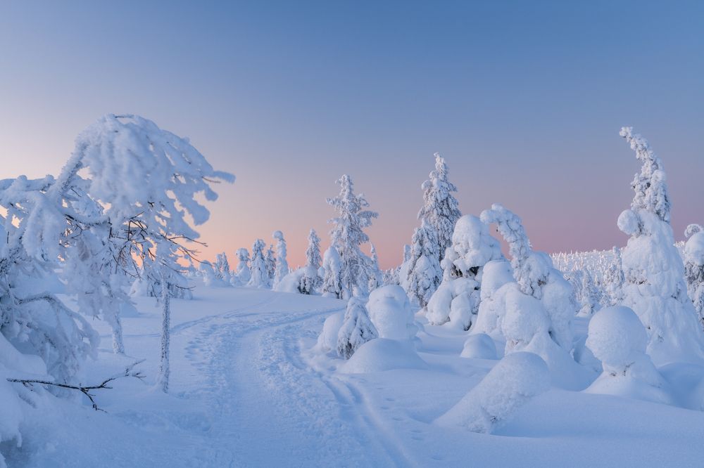 Фотография автора Katrin Lillenthal