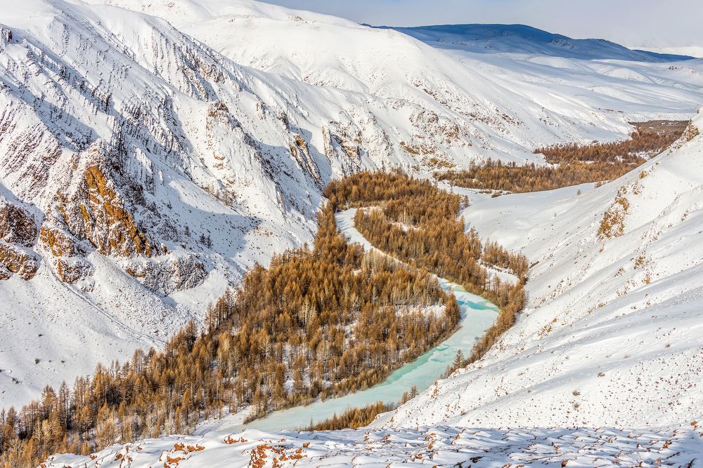 Photograph by Tatyana