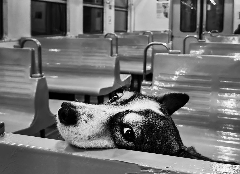 Photograph by Ирина Иванова