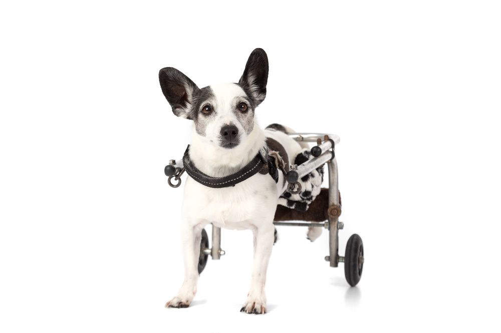 Фотография автора Alicia Mate