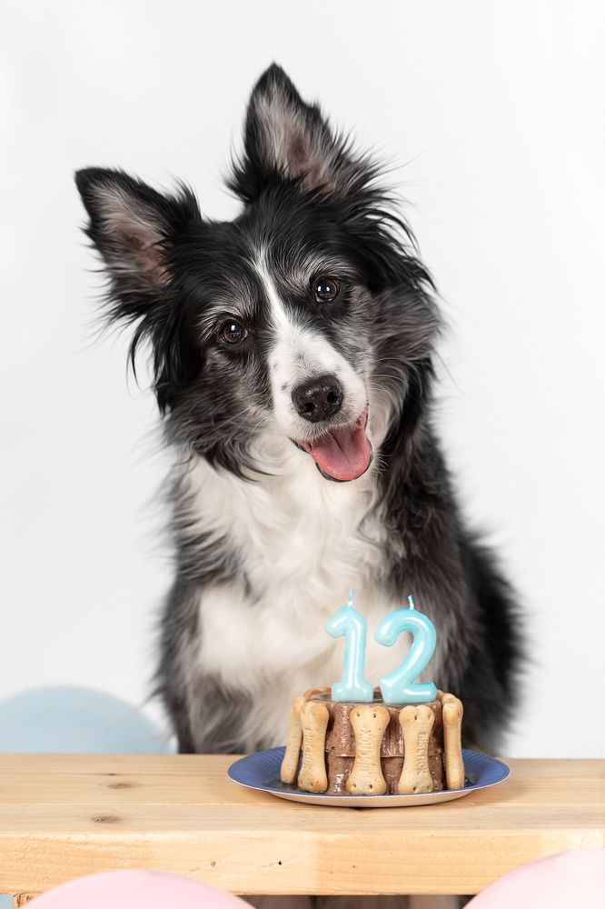 Фотография автора Alicia Mate